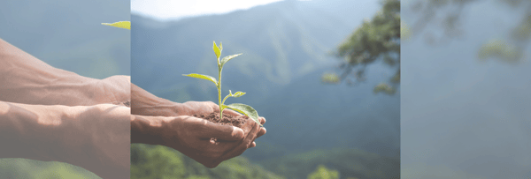 Día Mundial del Medio Ambiente: así impulsa Tecmilenio la sostenibilidad
