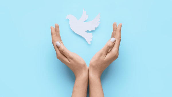 ¿Por qué se conmemora el Día Internacional de la Paz y cuál es su importancia?